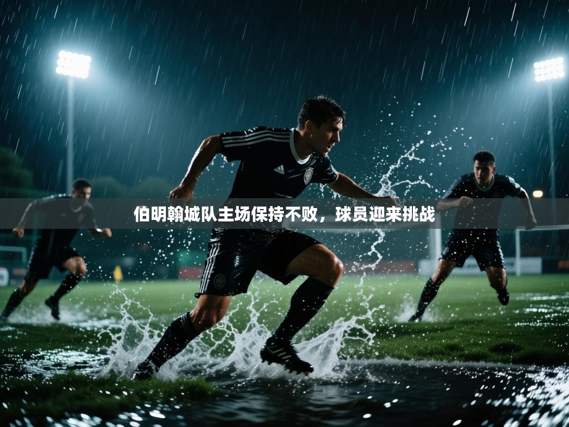 开云体育联赛专题页-伯明翰城队主场保持不败，球员迎来挑战  第2张