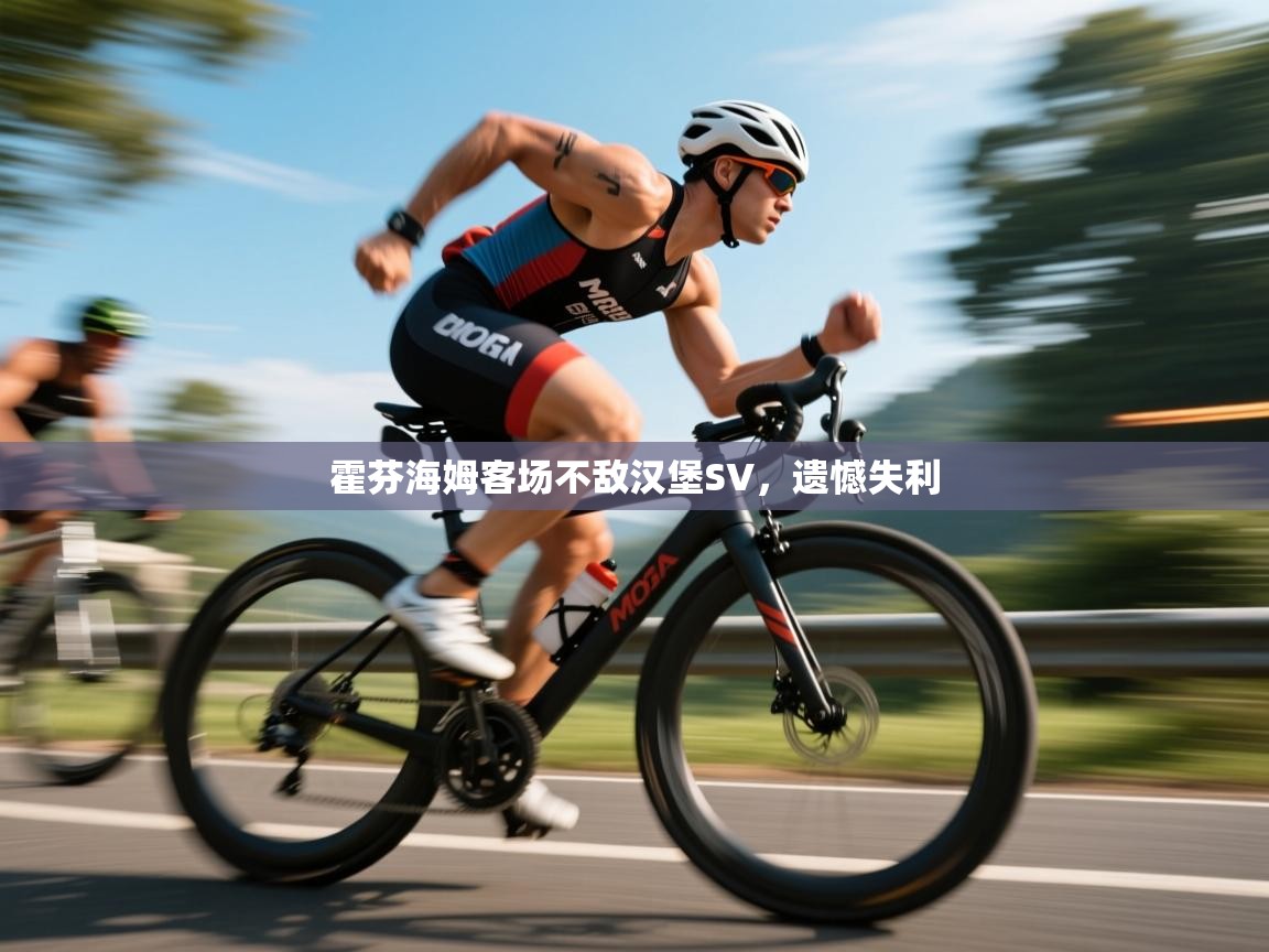 开云体育在线入口-霍芬海姆客场不敌汉堡SV，遗憾失利