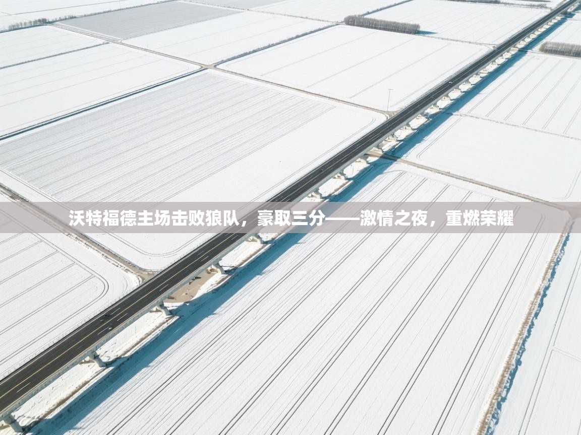 开云体育app官网下载地址-沃特福德主场击败狼队，豪取三分——激情之夜，重燃荣耀  第3张