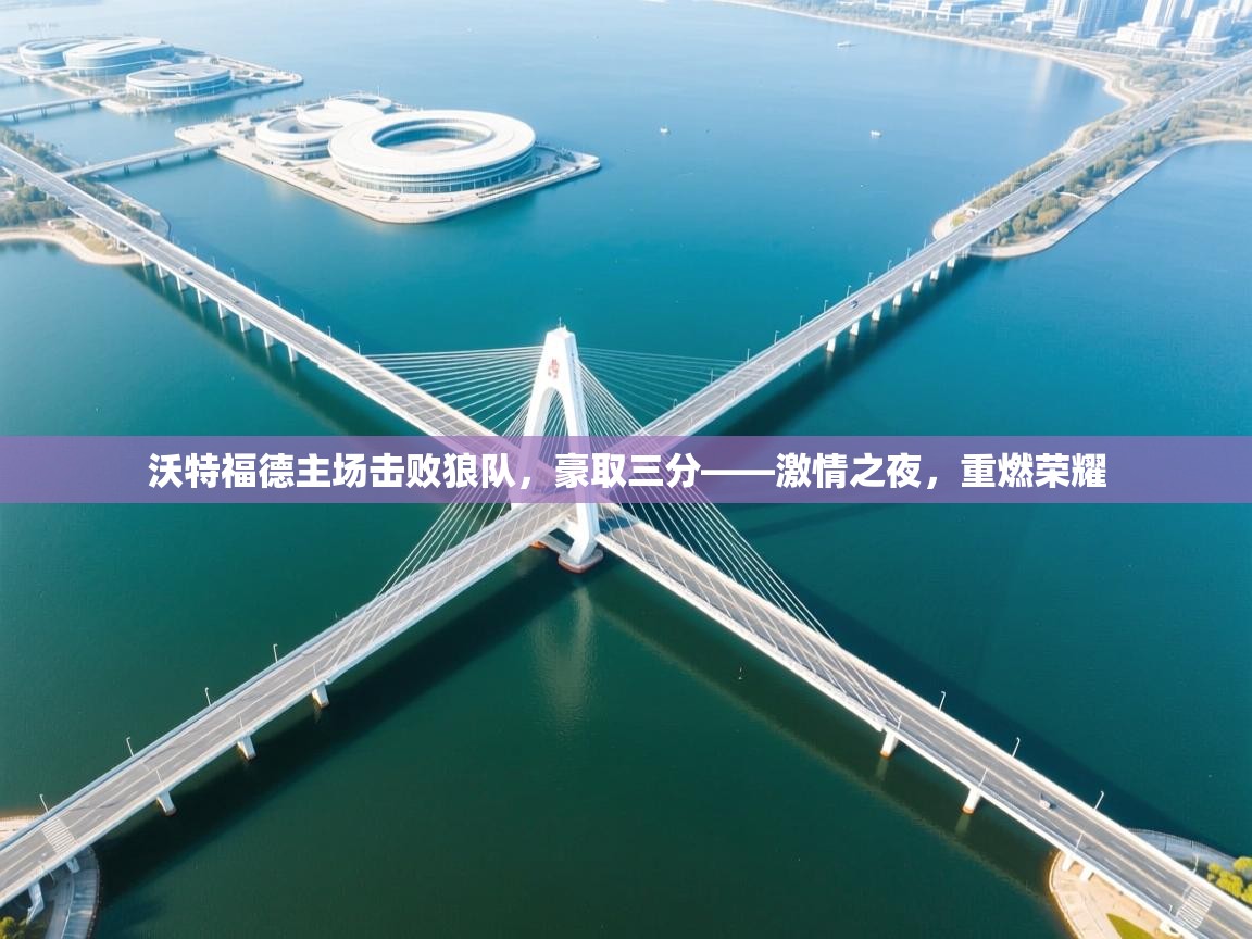 开云体育app官网下载地址-沃特福德主场击败狼队，豪取三分——激情之夜，重燃荣耀  第4张